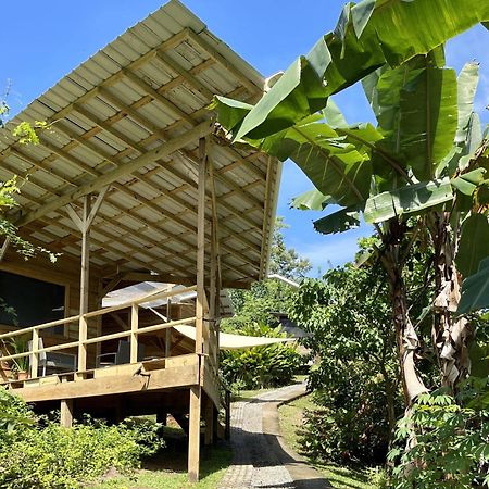 Eden Jungle Lodge Bocas del Toro Esterno foto