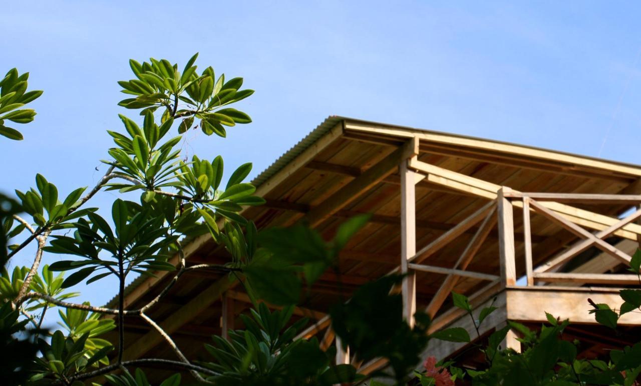 Eden Jungle Lodge Bocas del Toro Esterno foto
