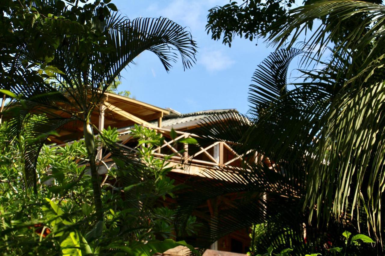 Eden Jungle Lodge Bocas del Toro Esterno foto
