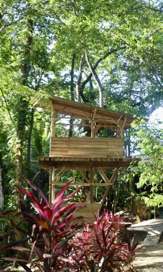Eden Jungle Lodge Bocas del Toro Esterno foto