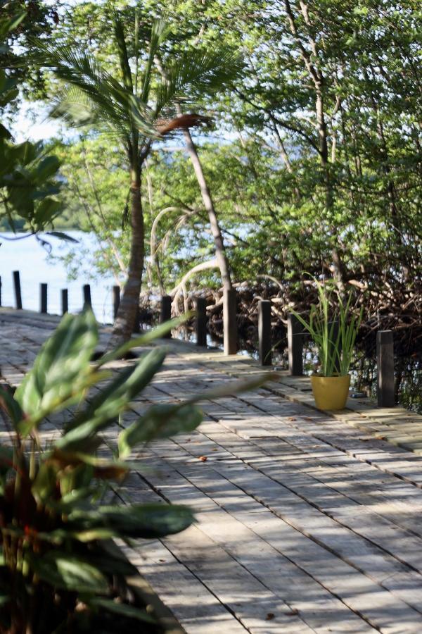 Eden Jungle Lodge Bocas del Toro Esterno foto