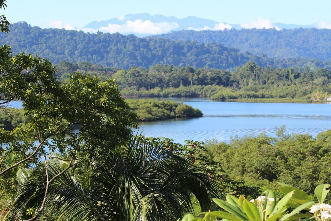 Eden Jungle Lodge Bocas del Toro Esterno foto