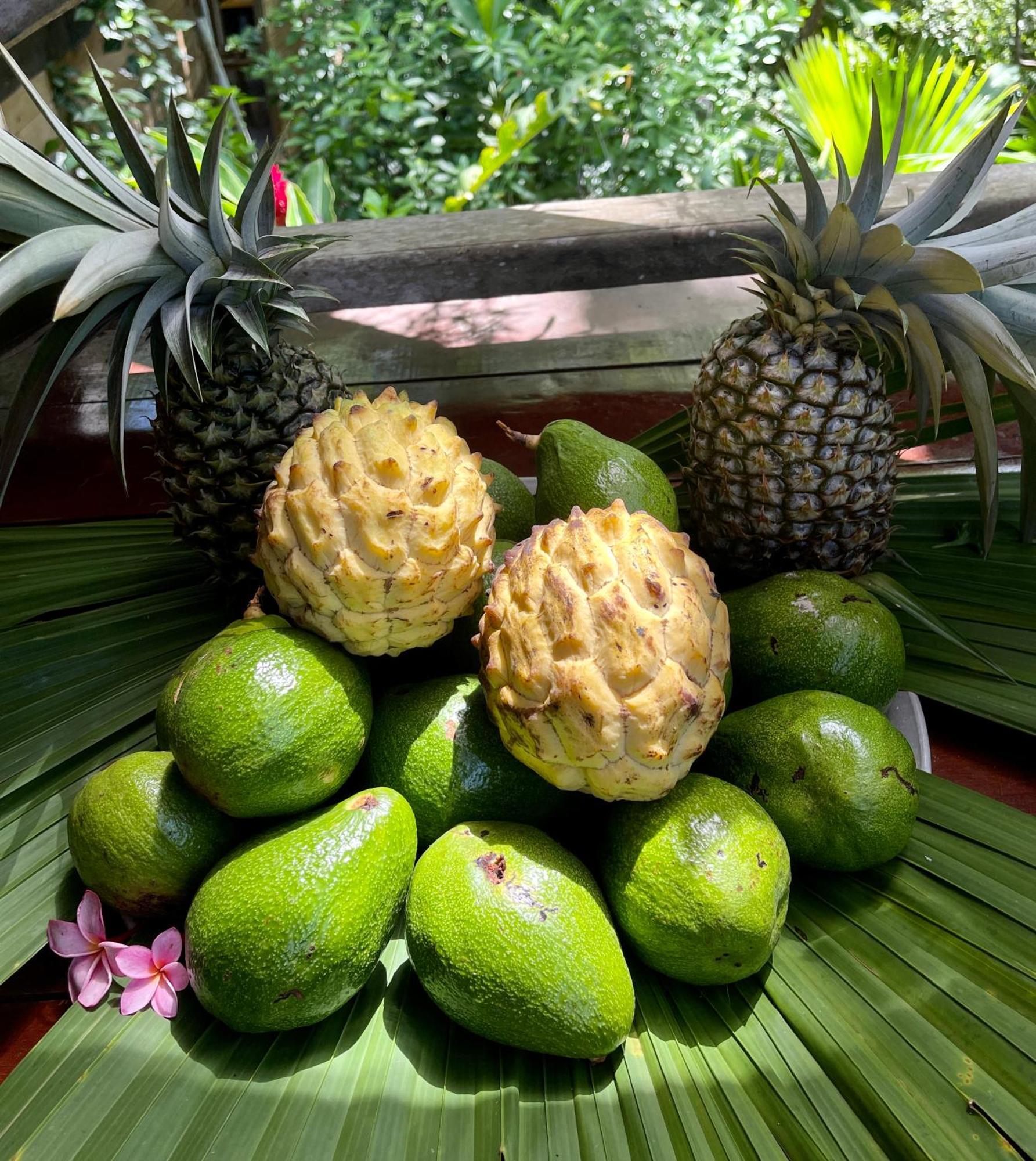 Eden Jungle Lodge Bocas del Toro Esterno foto