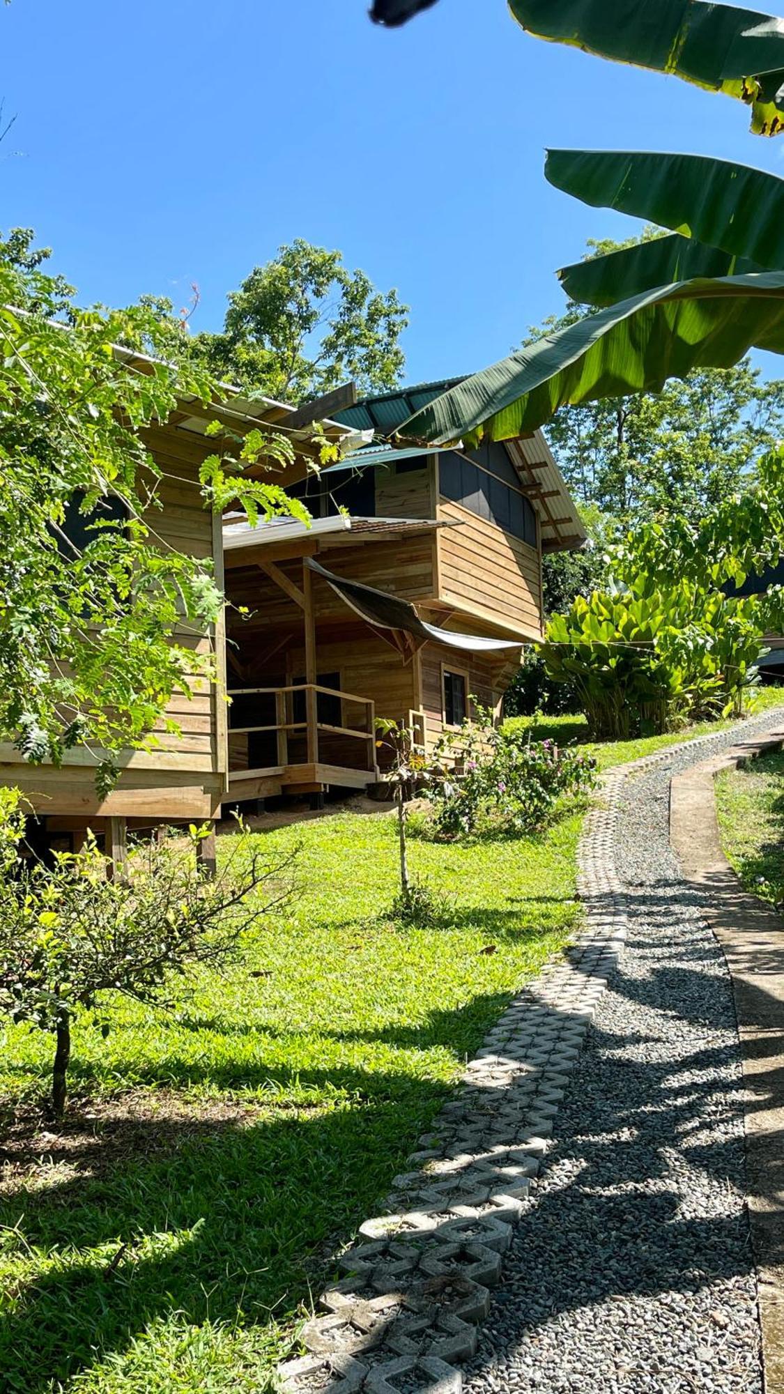 Eden Jungle Lodge Bocas del Toro Esterno foto