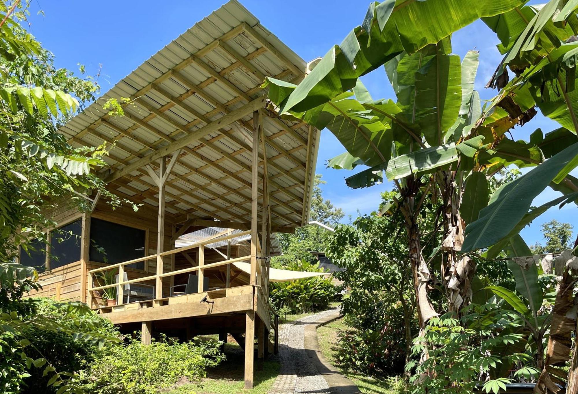 Eden Jungle Lodge Bocas del Toro Esterno foto